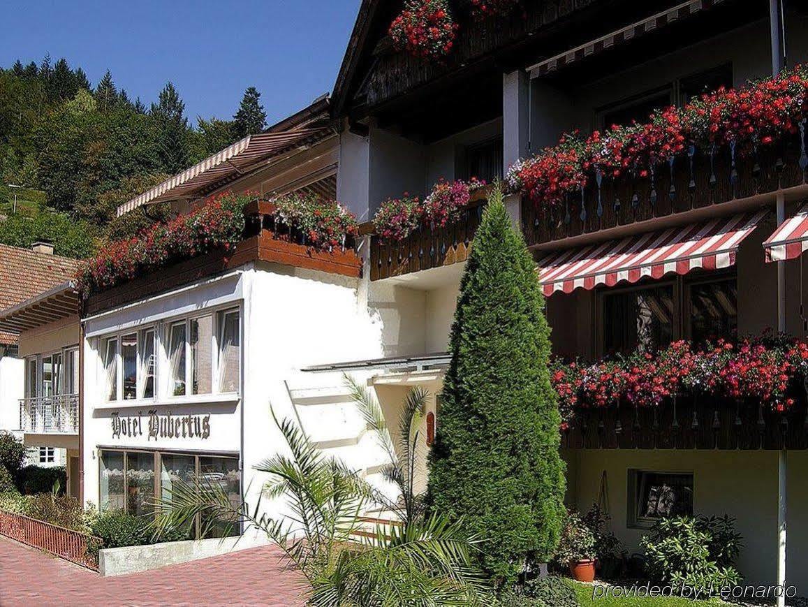 Akzent Hubertus Hotel Bad Peterstal-Griesbach Bagian luar foto